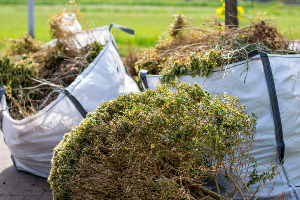 Best Dumpster Rental Services  in Forks, WA